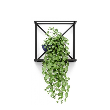 Étagère murale Saar hang SM HS 1x1 en acier thermolaqué.