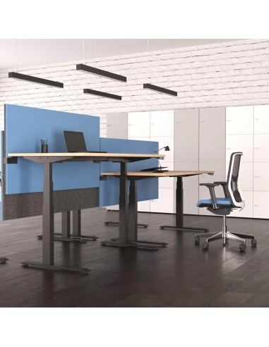 Bureaux réglables en hauteur avec cloisons bleues en open space moderne à Berne.