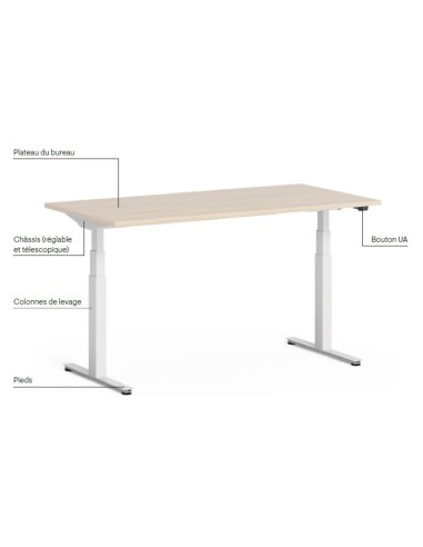 Bureau électrique réglable avec pieds blancs et plateau bois clair design Q-Active.