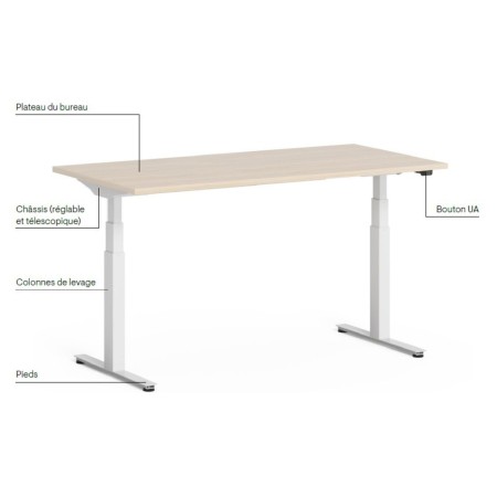 Bureau électrique réglable avec pieds blancs et plateau bois clair design Q-Active.