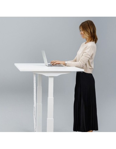 Poste de travail ergonomique avec bureau Q-ACTIVE dans des bureaux à Genève.