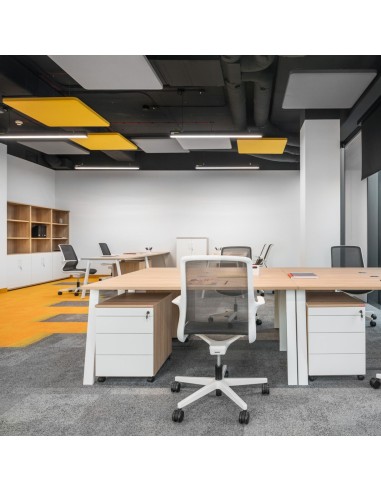 Panneaux acoustiques plafond en open space lumineux - Selva Sky