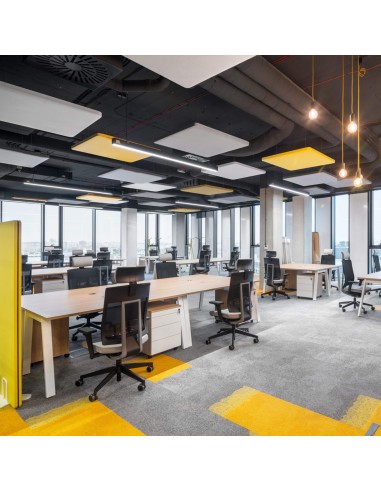 Panneaux acoustiques plafond avec éclairage intégré - Selva Sky