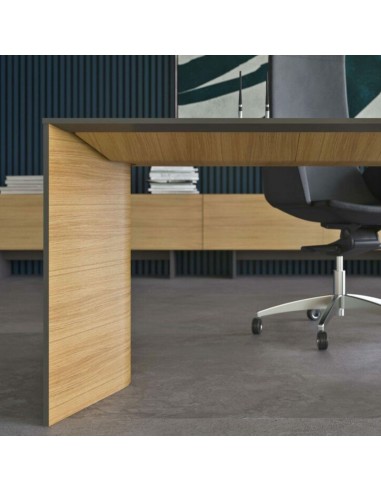 Pied panneau du bureau exécutif Move&Lead moderne pour bureaux de direction.
