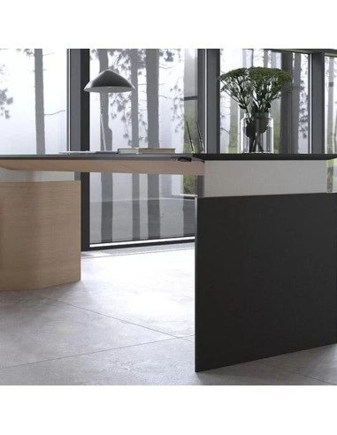 Bureau réglable avec pieds panneau en bois noir minimaliste Move&Lead pour bureaux direction.