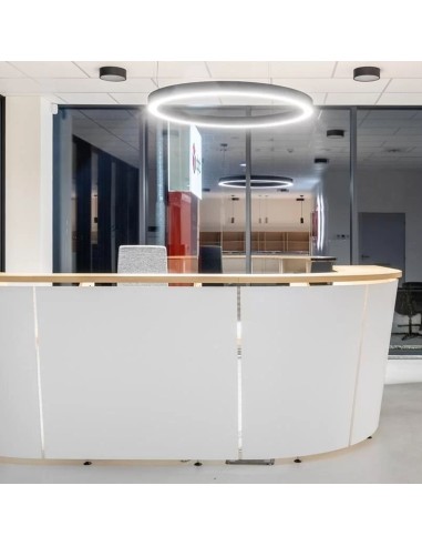 Banque d’accueil incurvée TERA en U dans un espace de réception professionnel en Suisse.