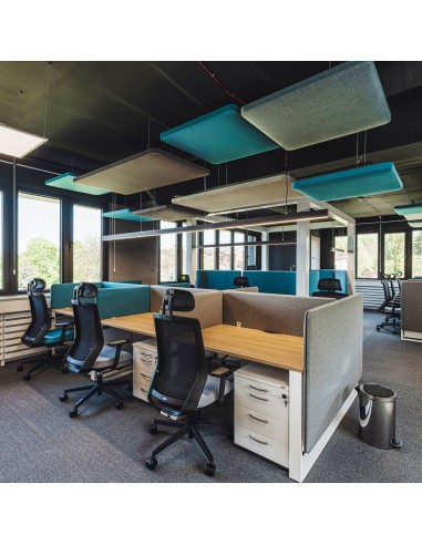 Panneaux acoustiques en environnement collaboratif - Selva Sky