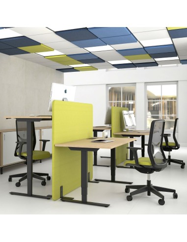 Panneau acoustique de plafond pour open space et bureaux installé dans un bureau à Fribourg.