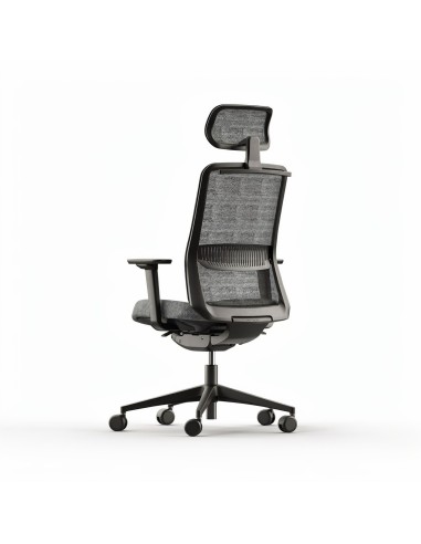 Dos de la chaise de bureau ergonomique EIRA dossier résille noir.