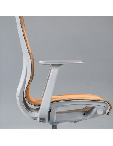Chaise de bureau réglable avec accoudoirs personnalisable pour espace de travail personnel.