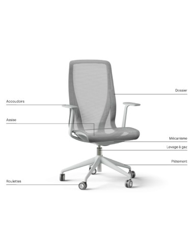 Eléments composants de la chaise D-CHAIR pour bureaux.