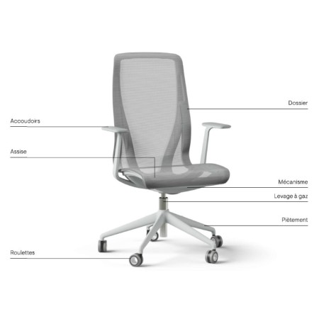 Eléments composants de la chaise D-CHAIR pour bureaux.