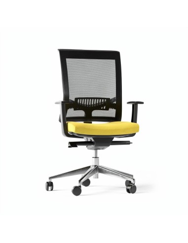 Chaise de bureau ergonomique EVA.II avec soutien lombaire réglable et dossier en résille noire.