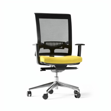 Chaise de bureau ergonomique EVA.II avec soutien lombaire réglable et dossier en résille noire.
