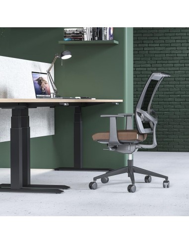 Chaise de bureau EVA.II avec soutien lombaire installée dans un espace de travail moderne.