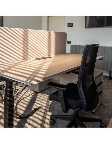 Chaise de bureau professionnelle WIND avec dossier en maille respirante à Berne.