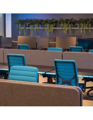 Chaises de bureau WIND en tissu bleu dans un espace collaboratif moderne avec bureaux bench et cloisons à Sion.