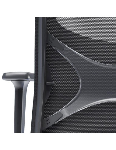 Dossier et accoudoirs de WIND siège de bureau ergonomique avec dossier résille et support lombaire.