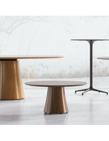 Tables BOTANY design naturel en bois pour espace de pause professionnel.
