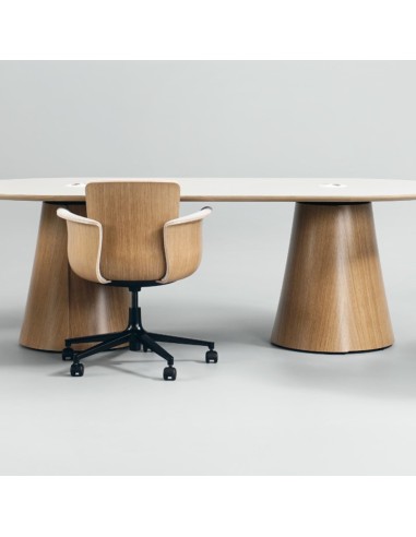 Table de conférence design BOTANY ovale pour réunions et conférences.