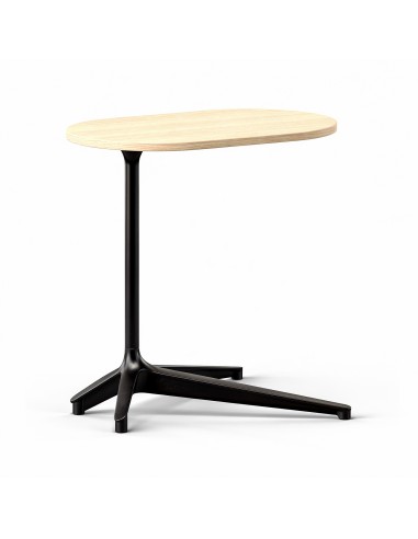 Table basse d'appoint pour lounge en mélaminé bois design BOTANY.