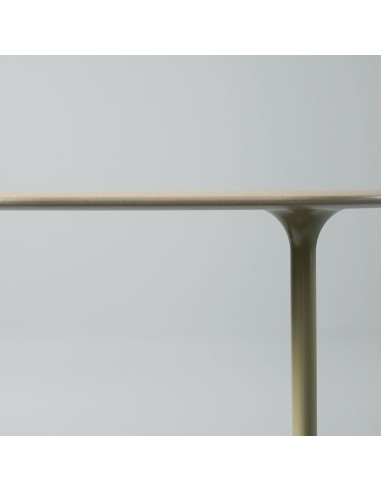Table d'appoint ovale BOTANY 60cm pour canapé et espaces professionnels.
