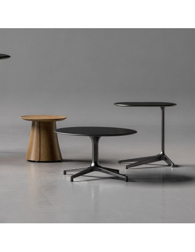 Collection de tables basses BOTANY avec design naturel pour espaces professionnels.
