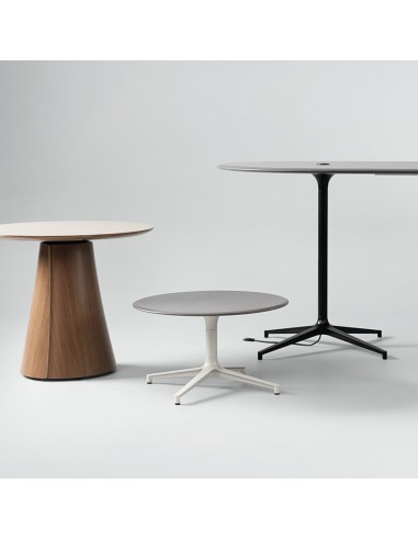 Table basse pour espace professionnel BOTANY avec pied central.