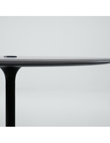 Plateau mélamine de la table ronde BOTANY avec découpe pour prises en réunion.