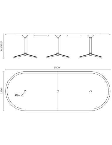 Dimensions de la table de réunion BOTANY 12 personnes.