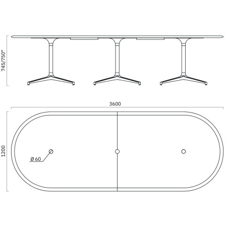 Dimensions de la table de réunion BOTANY 12 personnes.