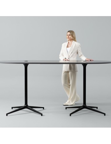 Table de réunion haute professionnelle oblongue 8 places design BOTANY épuré.