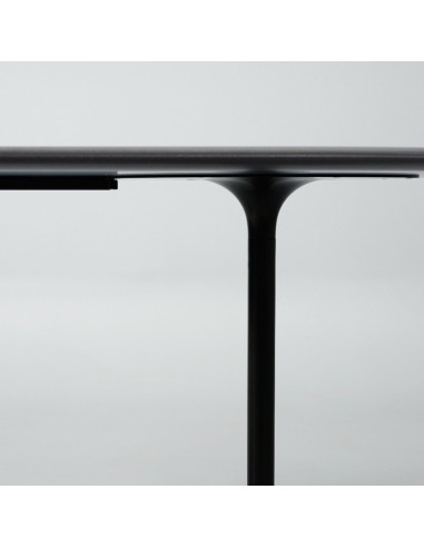 Profil de la table BOTANY 8 personnes en métal noir pour entreprises modernes.