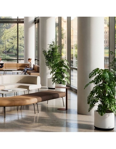 Canapés et banquettes modulables LINJE aux formes courbes aménagés dans un vaste espace d’accueil professionnel à Genève.