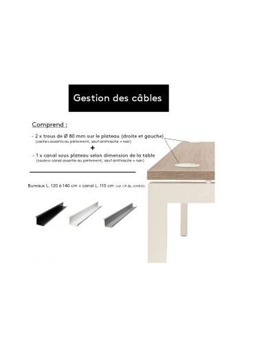 Gestion des câbles  du bureau assis-debout Move-Up