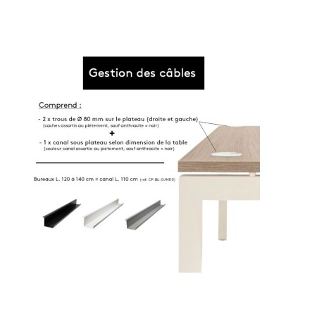 Gestion des câbles  du bureau assis-debout Move-Up